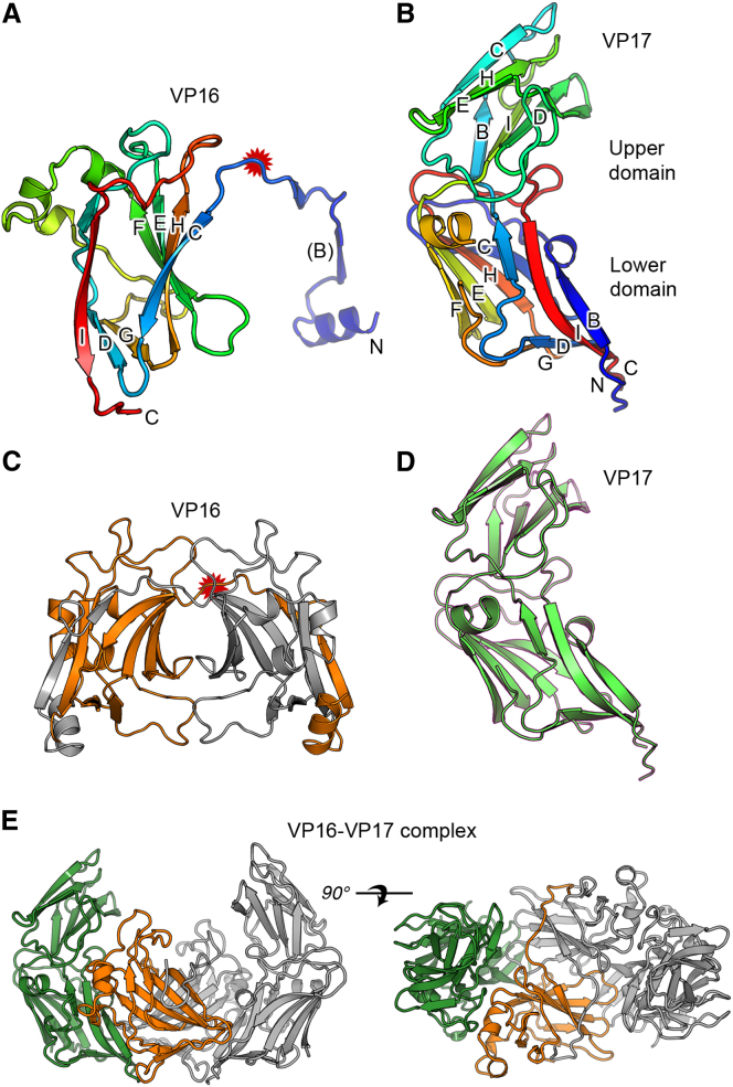 Figure 1