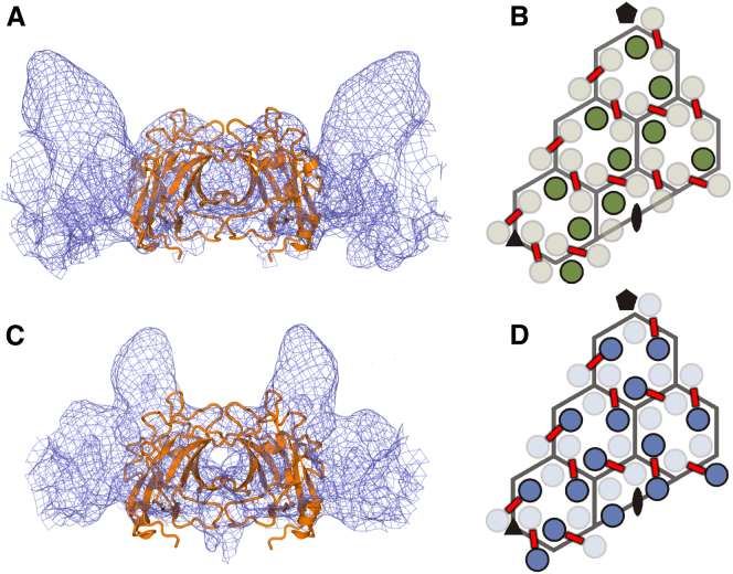 Figure 4