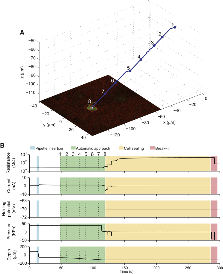 Figure 2