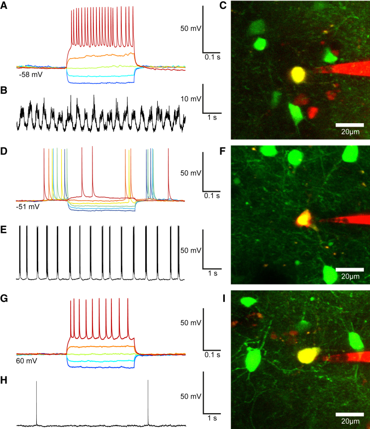 Figure 3