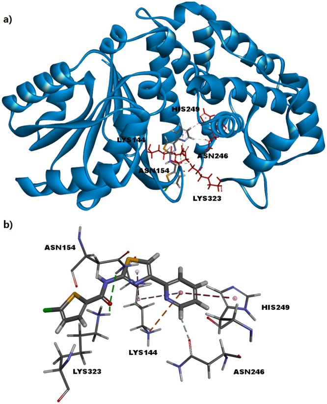 Figure 5