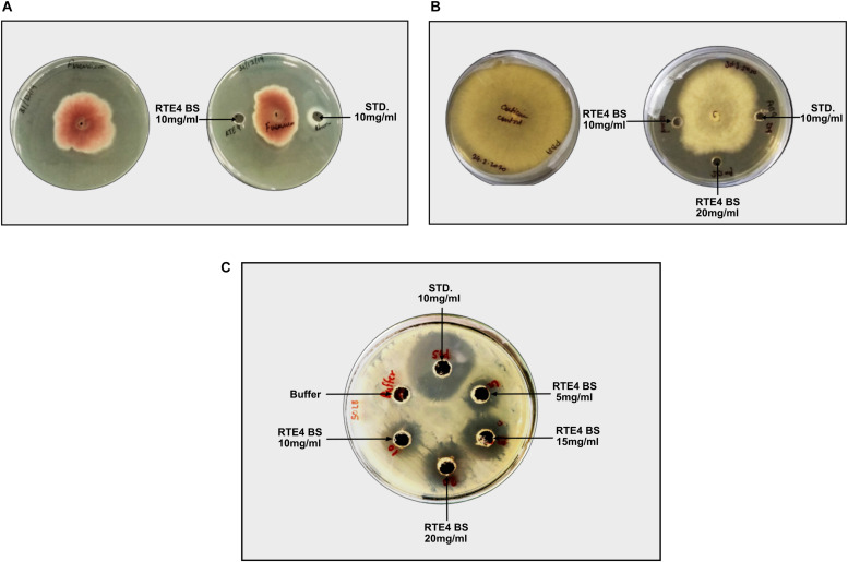 FIGURE 10