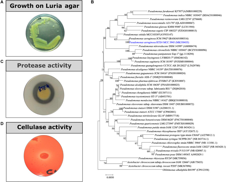 FIGURE 1