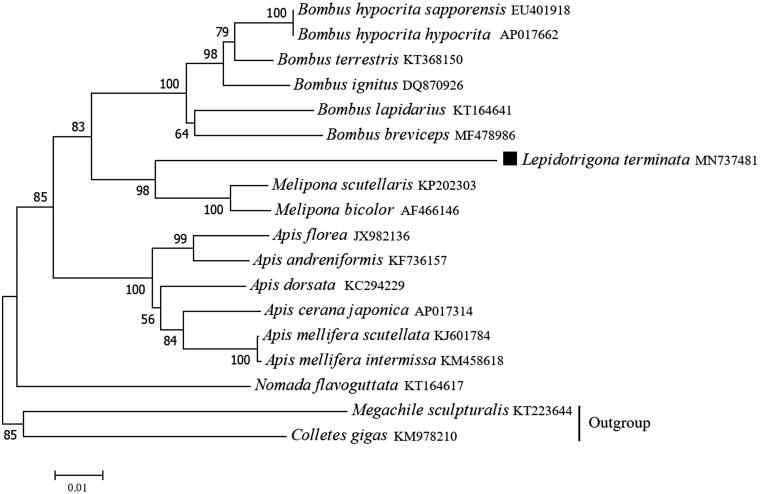 Figure 1.