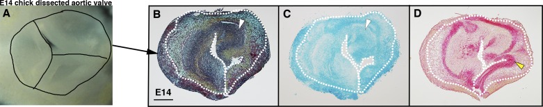 Fig. 4.