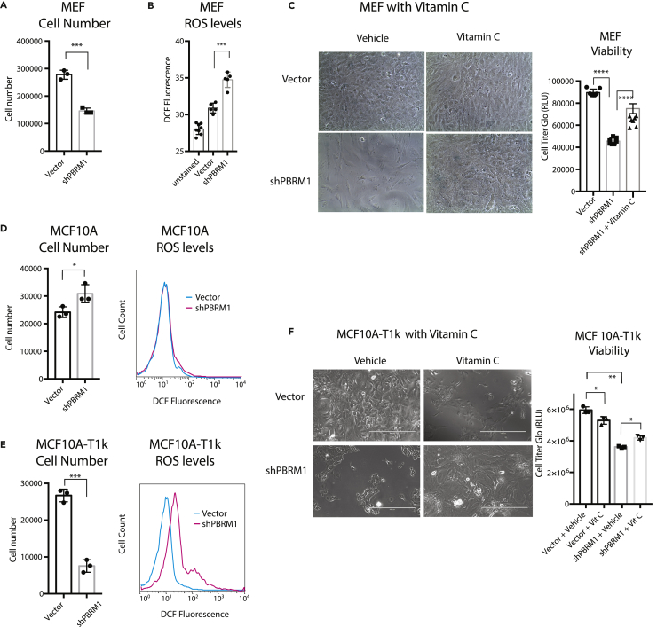 Figure 6