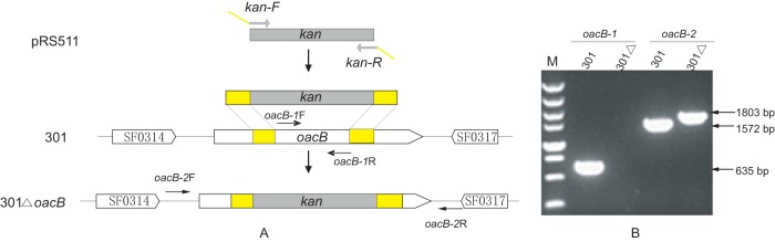 FIG 2