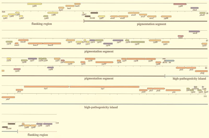 FIG. 1