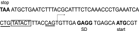 FIG. 2.