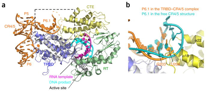 Figure 5