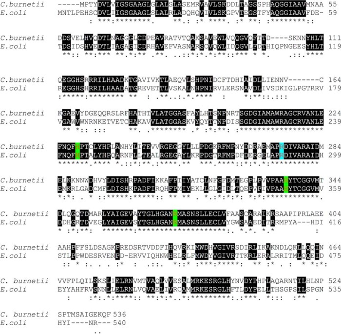 Figure 5.