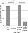FIG 2
