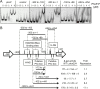 FIG 6