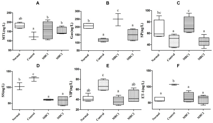 FIGURE 2