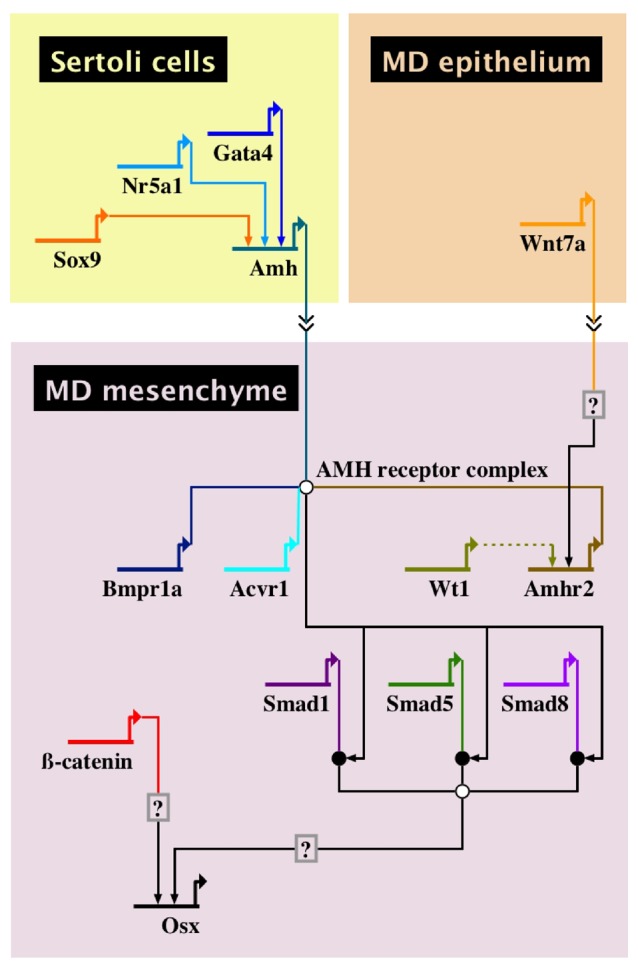 Figure 2: