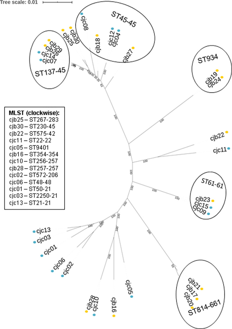 Fig 1