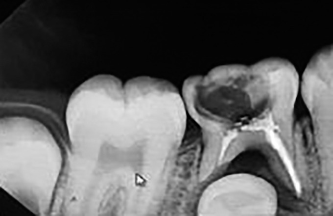 Fig. 8