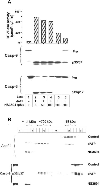 FIG. 5.