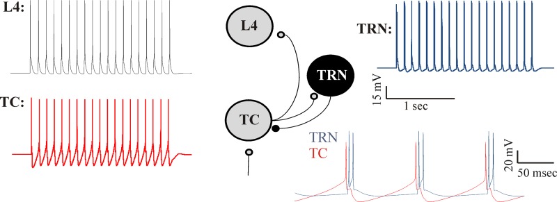 Fig. 3.