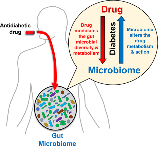 Unlabelled Image