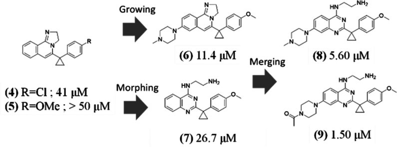 Scheme 2