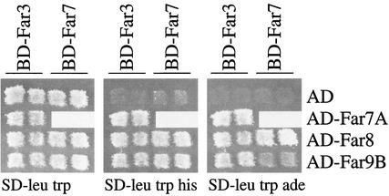 FIG. 4.