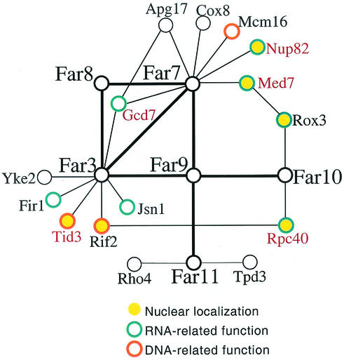 FIG. 10.