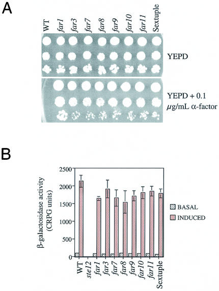 FIG. 8.