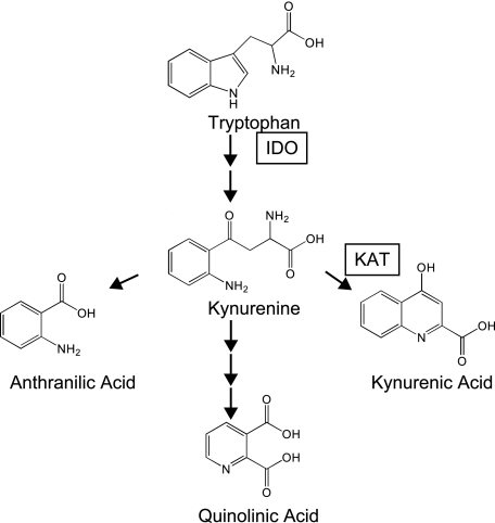 FIGURE 1.