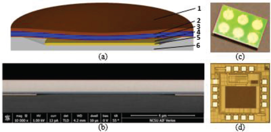 Fig. 10