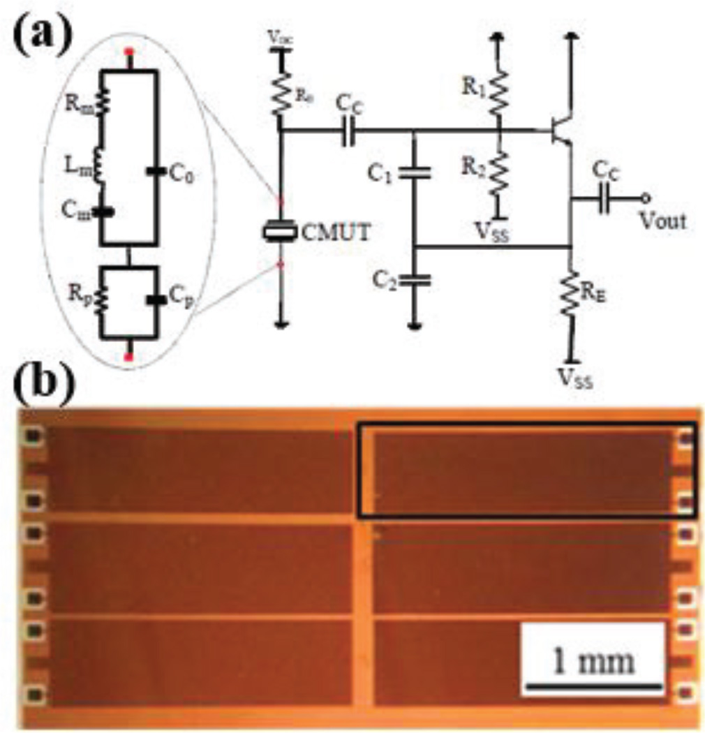 Fig. 11