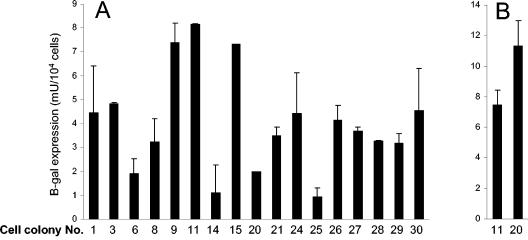 FIG. 1.