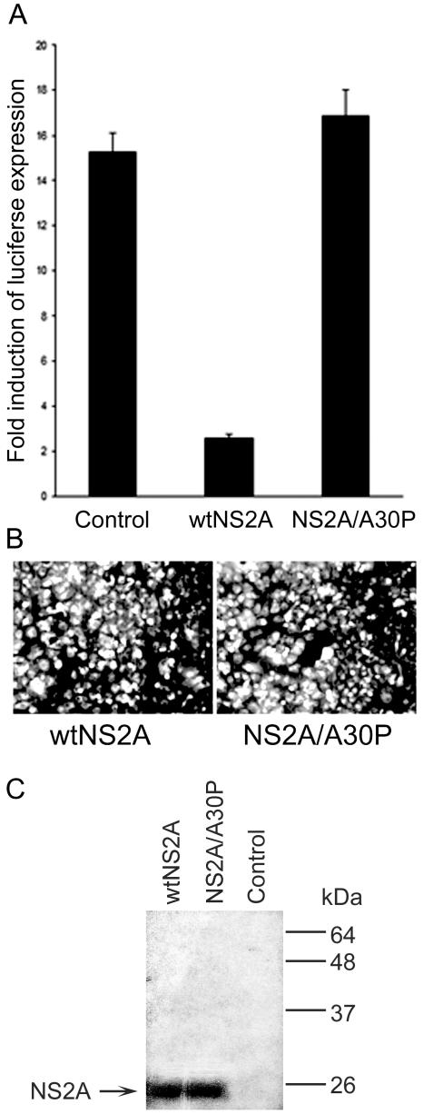 FIG. 7.