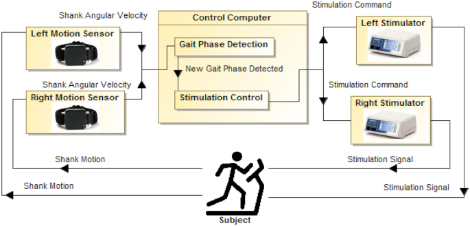 Figure 2.