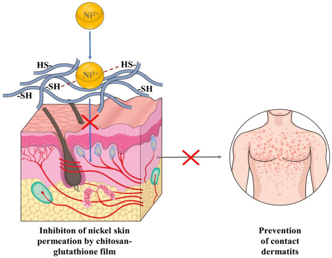 Figure 18