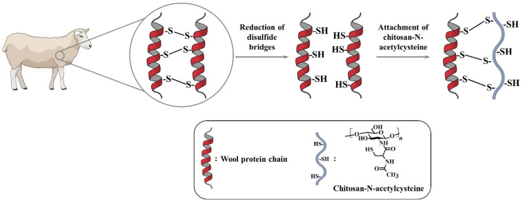 Figure 17