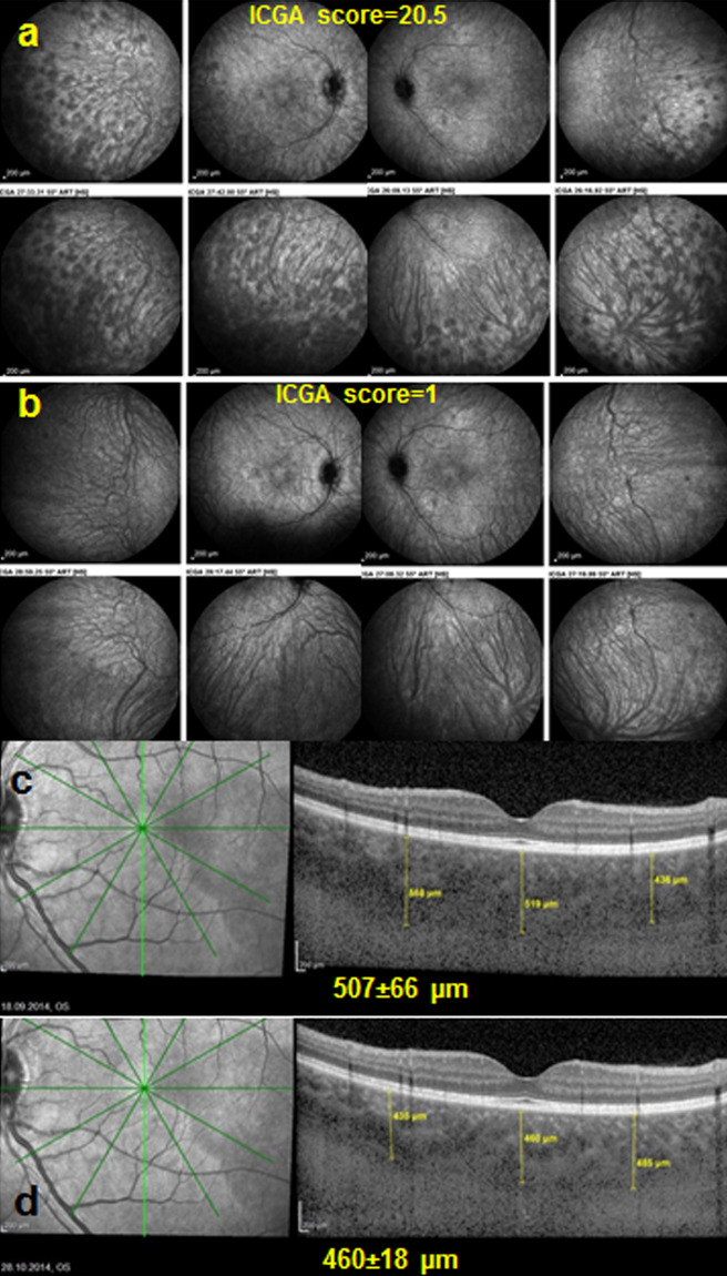 Fig. 5