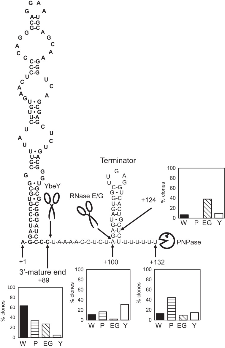 FIG 4