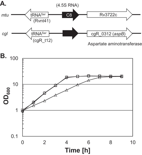 FIG 1