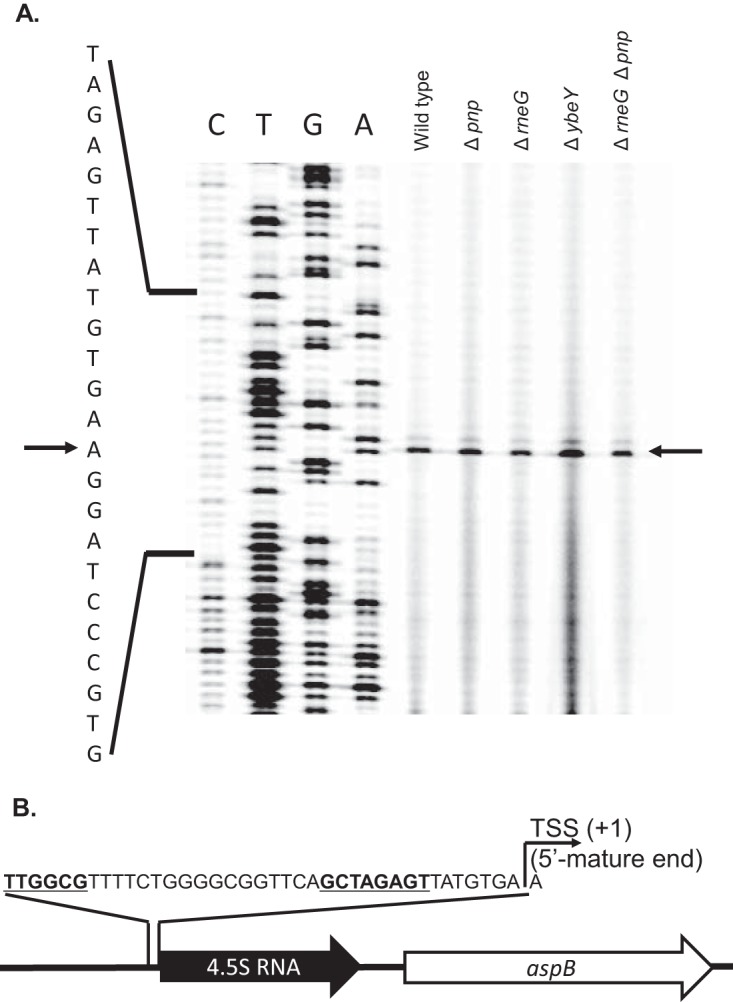 FIG 3