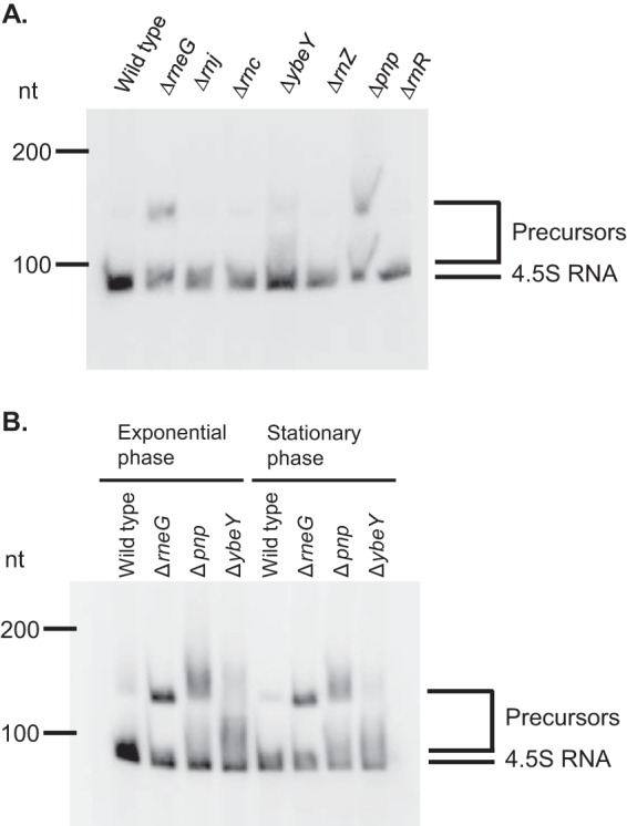 FIG 2