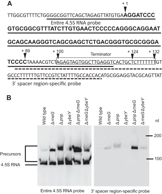 FIG 6