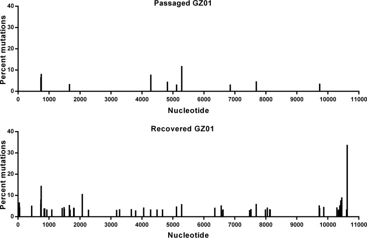 FIG 3