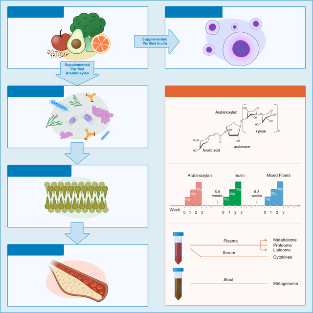 graphic file with name nihms-1796883-f0001.jpg