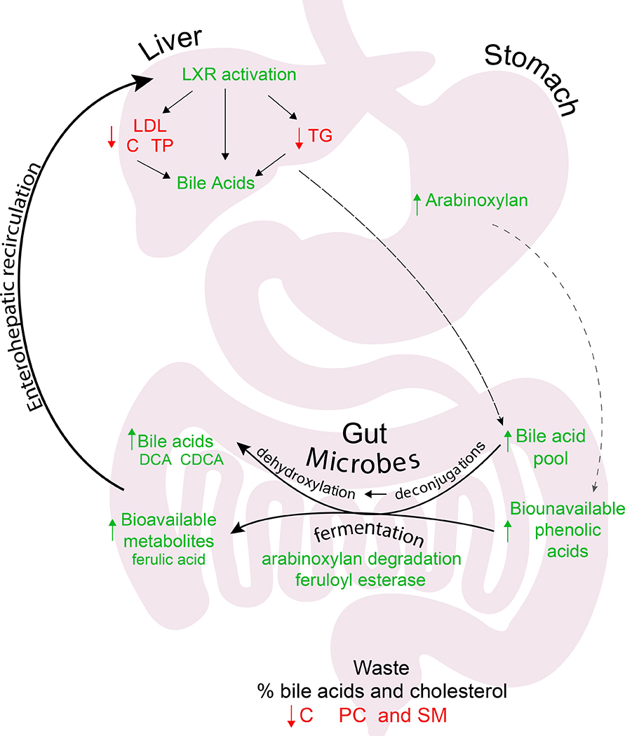 Figure 6.