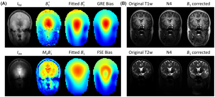 MRM-29215-FIG-0002-c