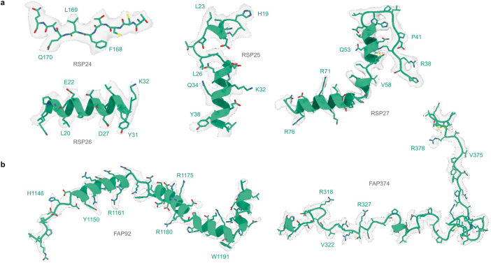 Extended Data Fig. 5