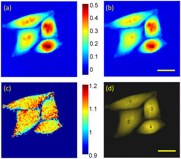 Fig. 3