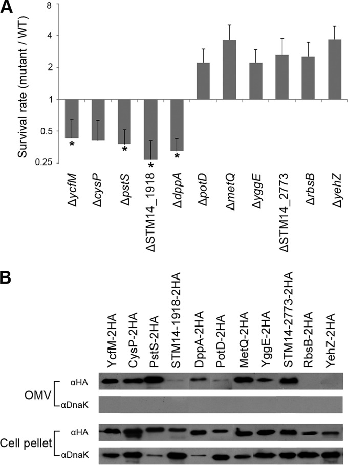 FIG 3