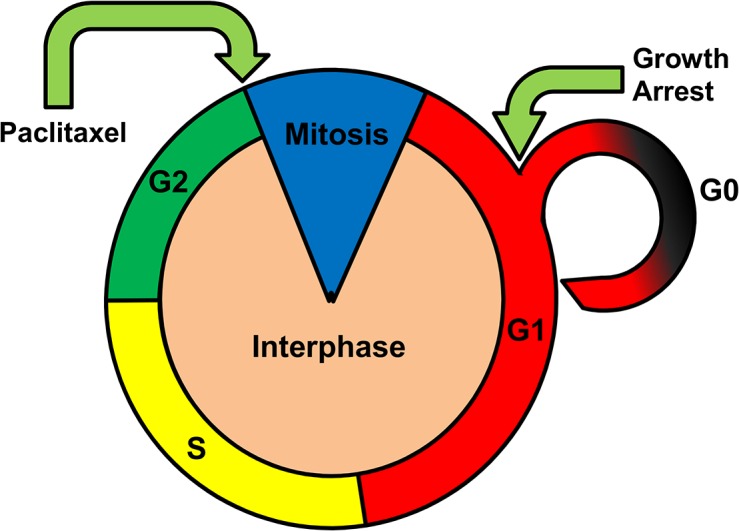 Fig 6